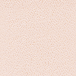 9936- کرم تیره مات